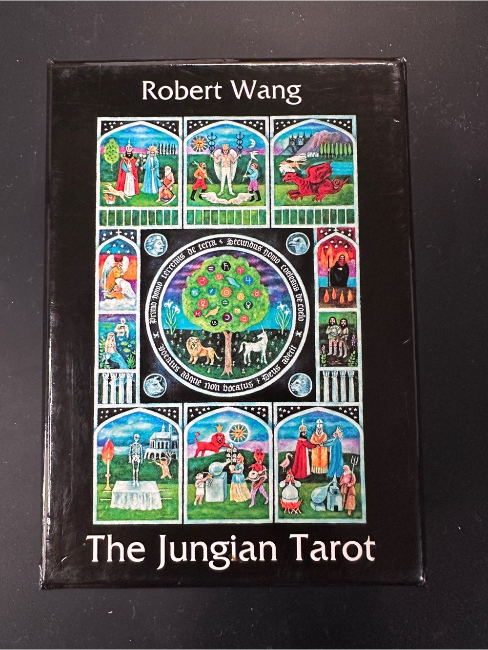 Robert Wang The Jungian Tarot Deck - Black Box w/ cards and book BUNDLE
